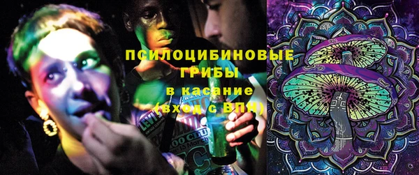 ECSTASY Костерёво
