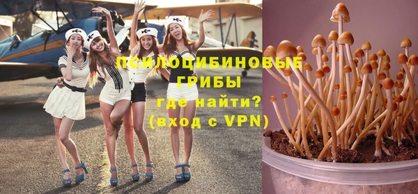 mdpv Алзамай